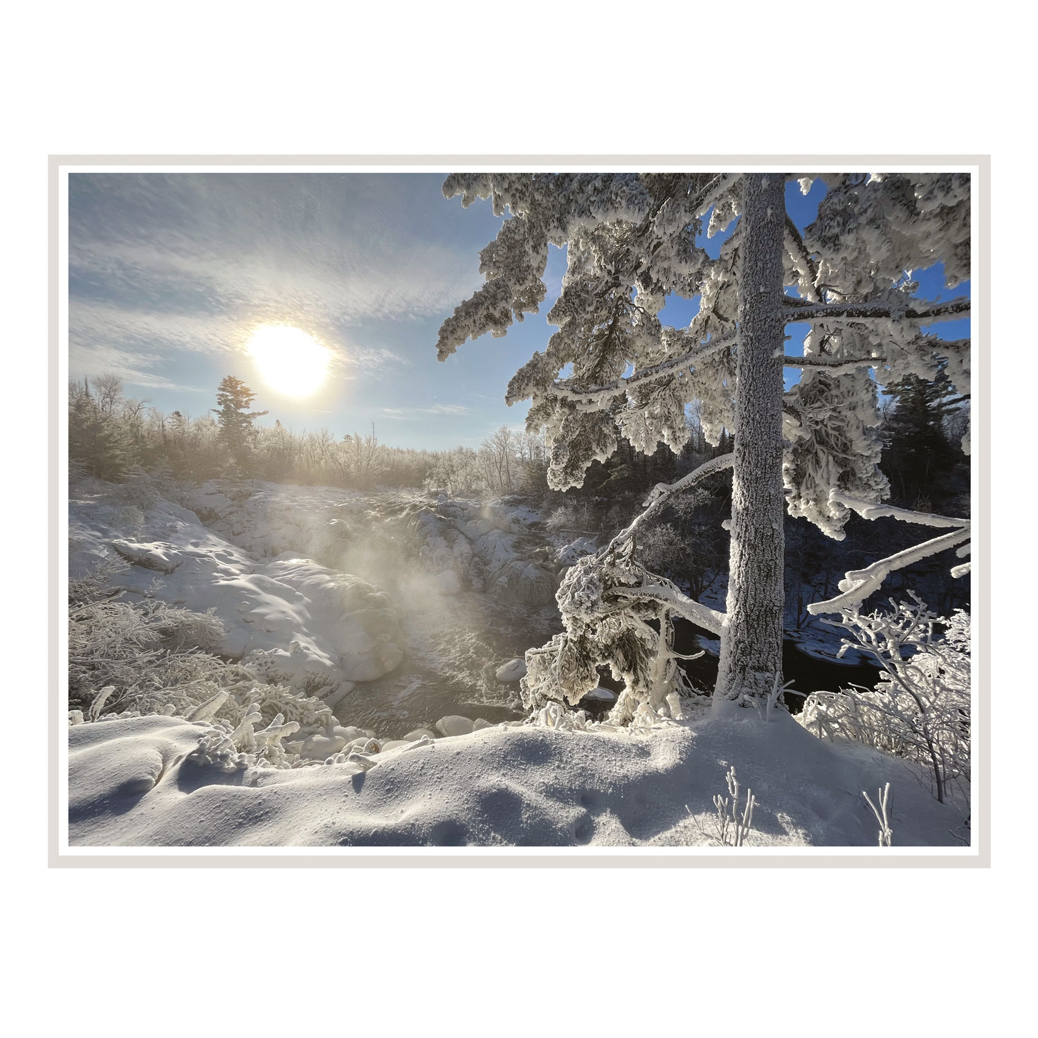 NVP222 Cover 1500 Web